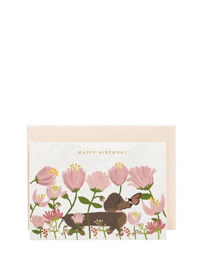 Happy Birthday Dachshund, birthday card