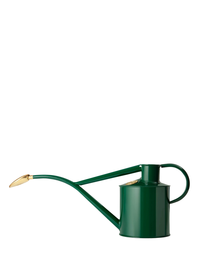 Green watering can with a gold spout on a white background