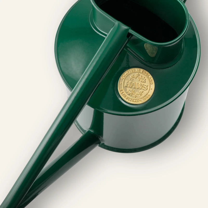 Rowley ripple watering can, green (1 L)