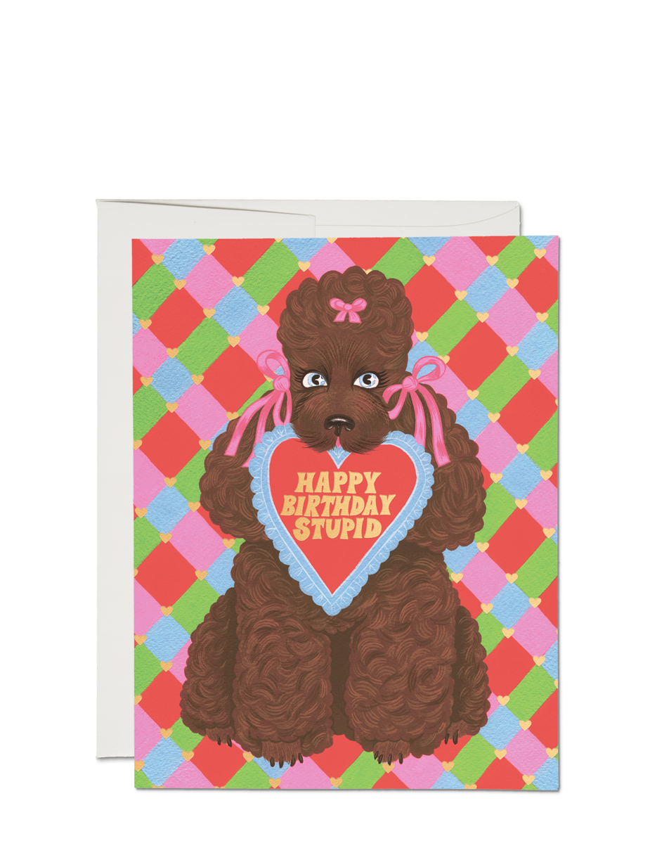 A birthday card with an illustration of a poodle holding a sign that reads 'HAPPY BIRTHDAY STUPID', with a colorful checkered background.