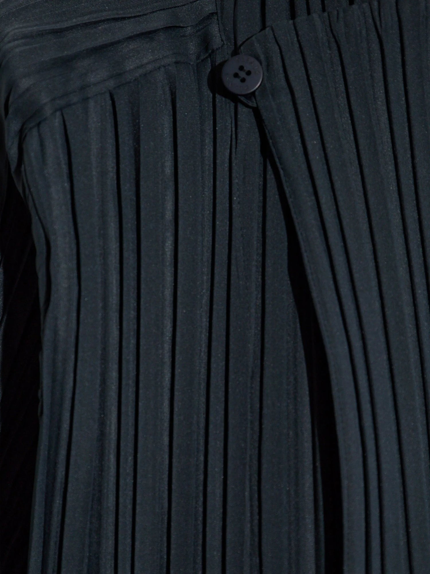 Smooth coat, charcoal