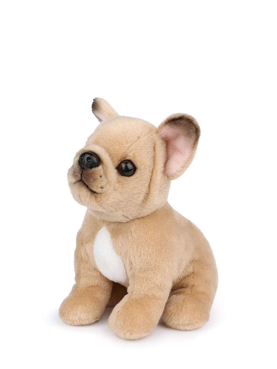 Philippe the french bulldog soft toy (17 cm)