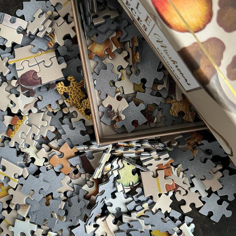 Mushrooms from the flora danica atlas puzzle, 1000 pieces