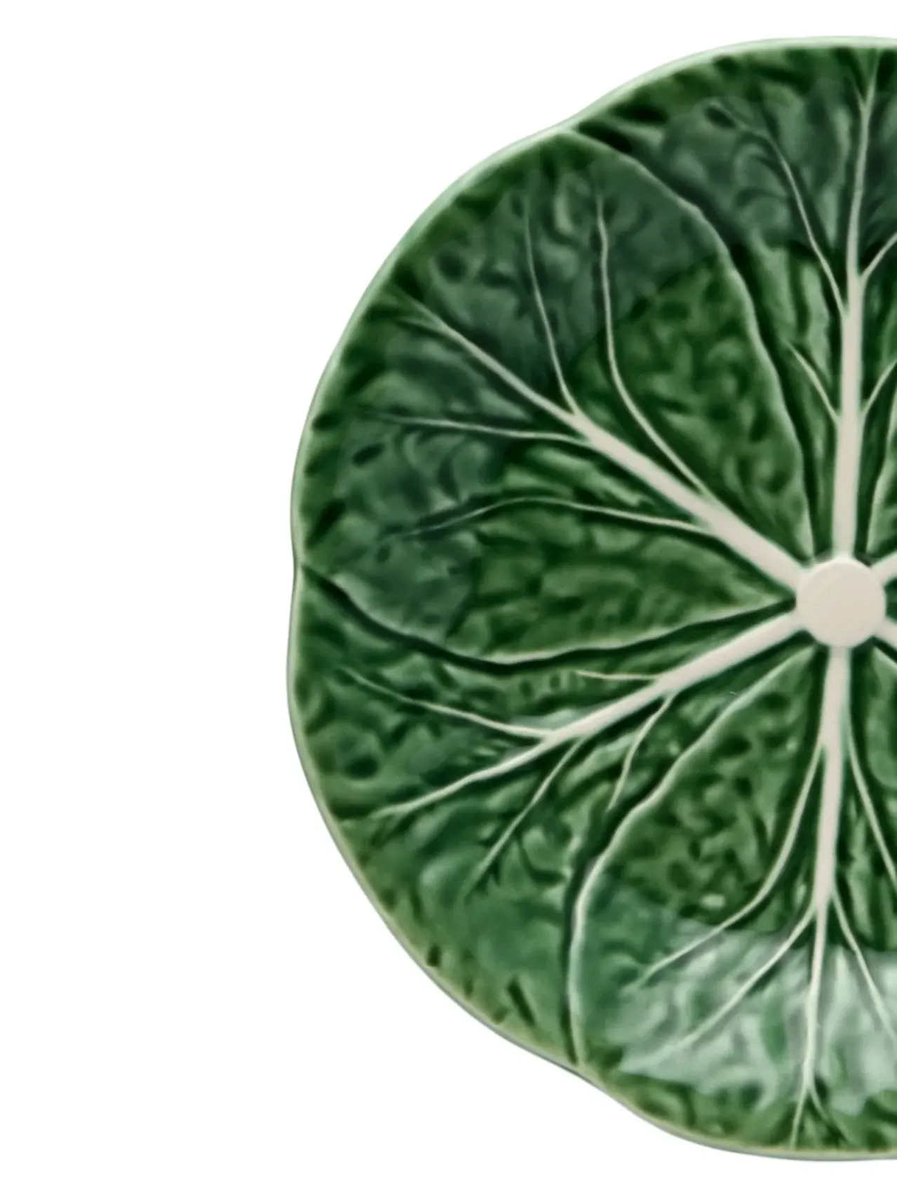Dinner Plate Cabbage (19 cm), green