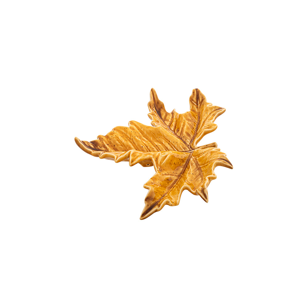 Sycamore yellow leaf, small