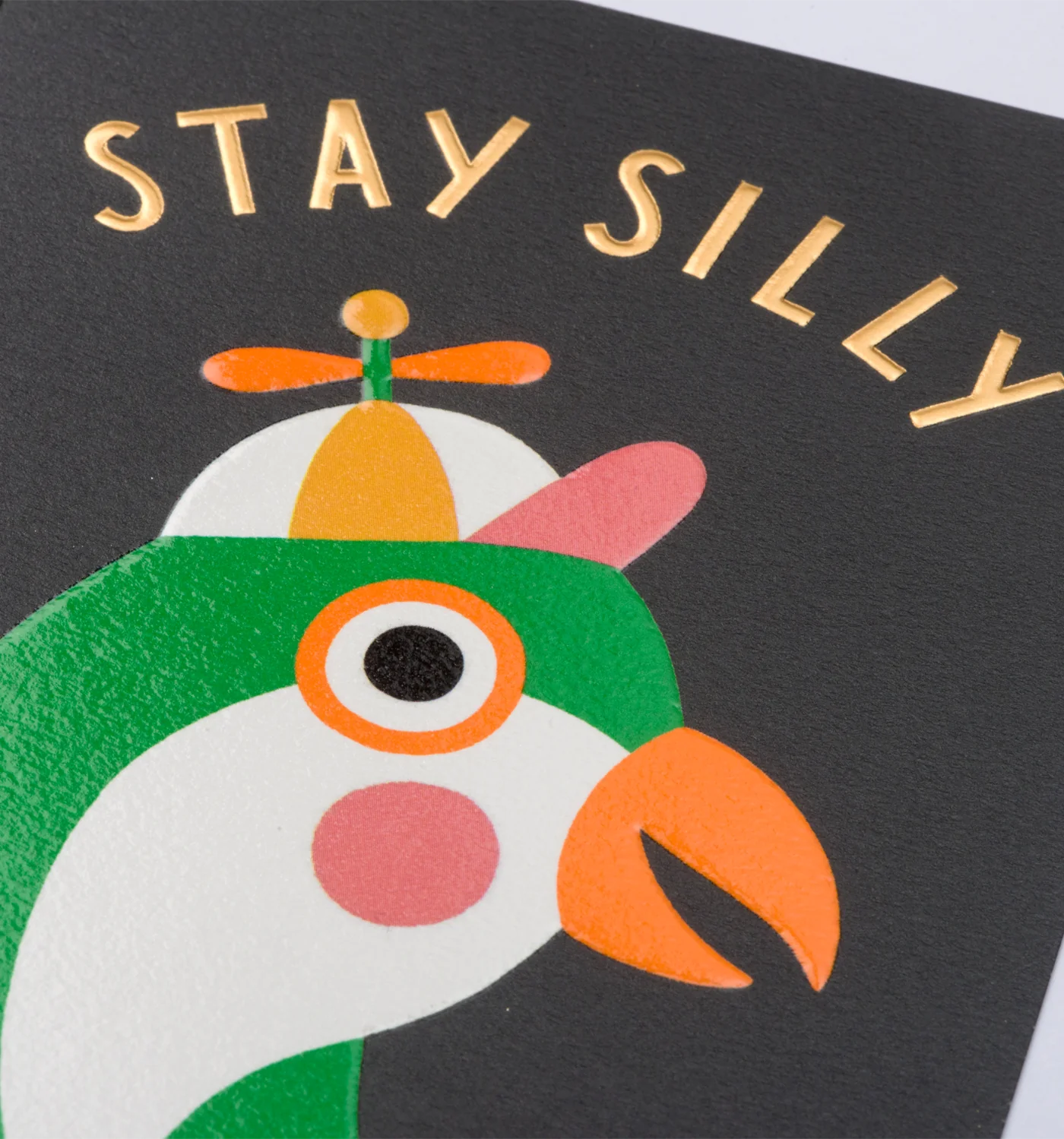 Stay Silly Parrot Card by Ilse Weisfelt