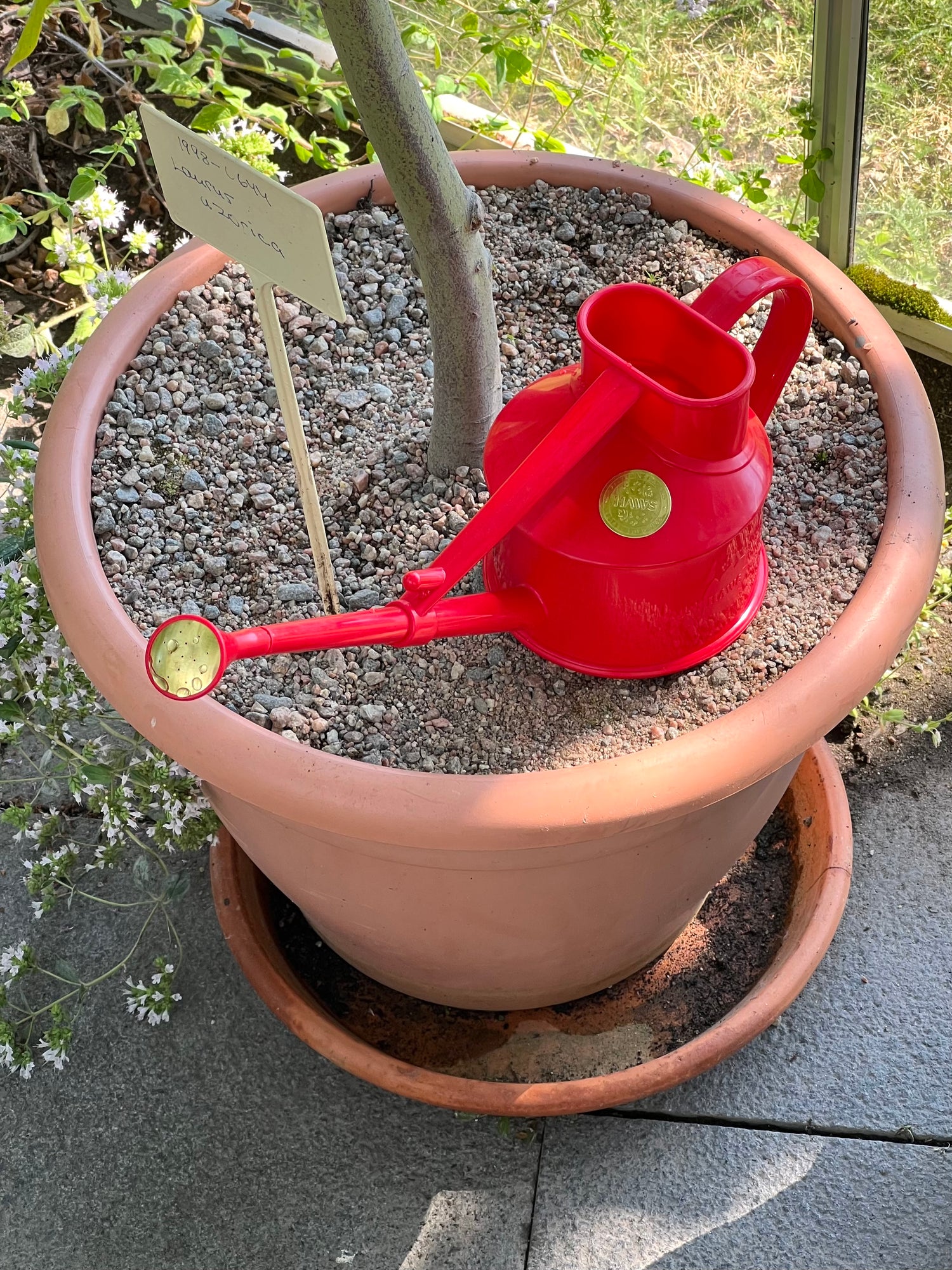 Langley Sprinkler, Red (0.7L)