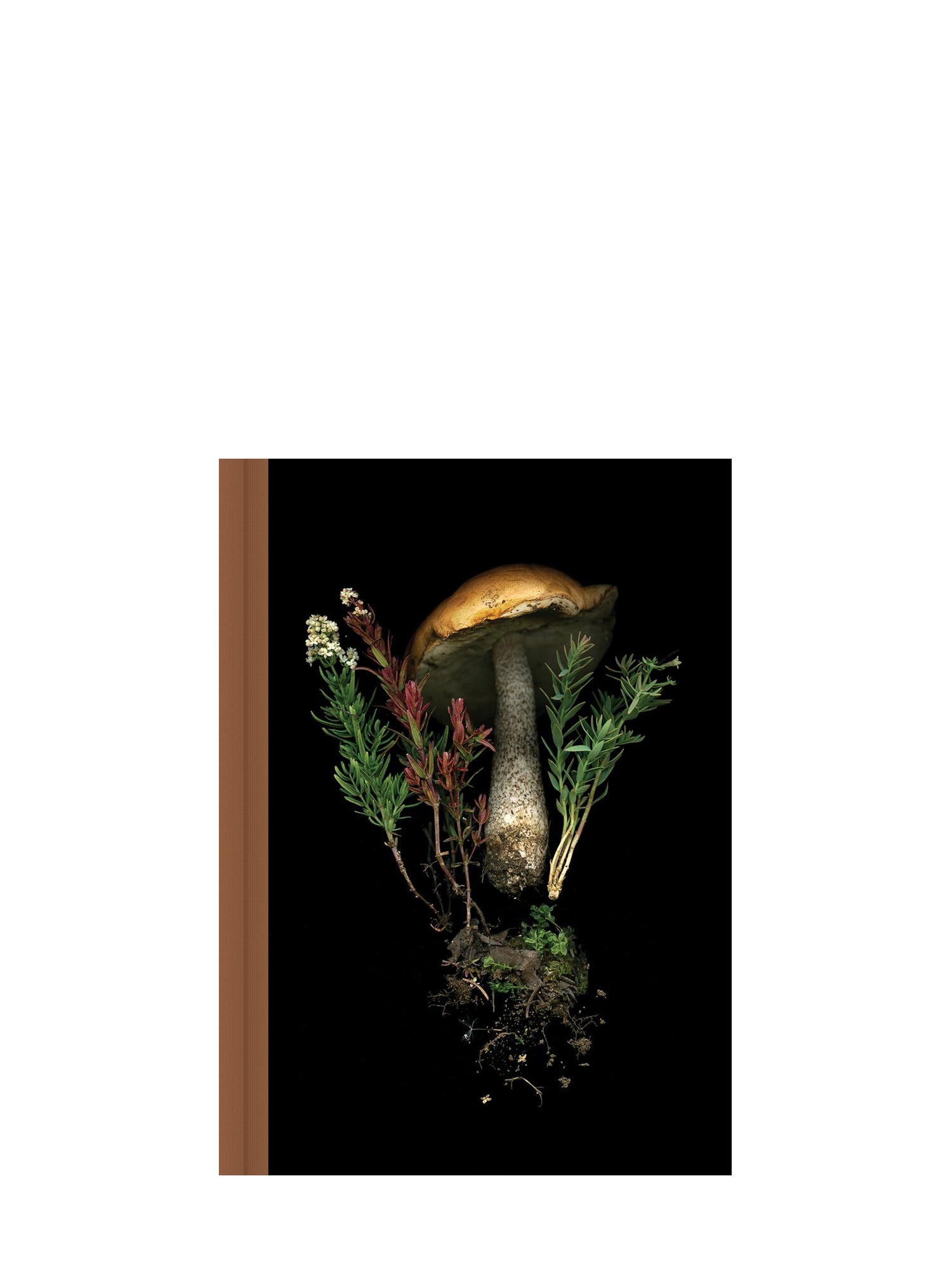 Deep dark forest mushroom journal