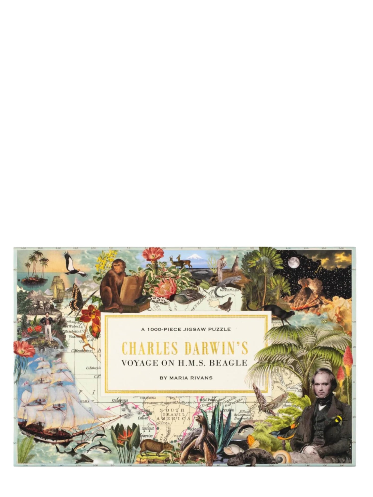 Charles Darwin's voyage puzzle, 1000 pieces