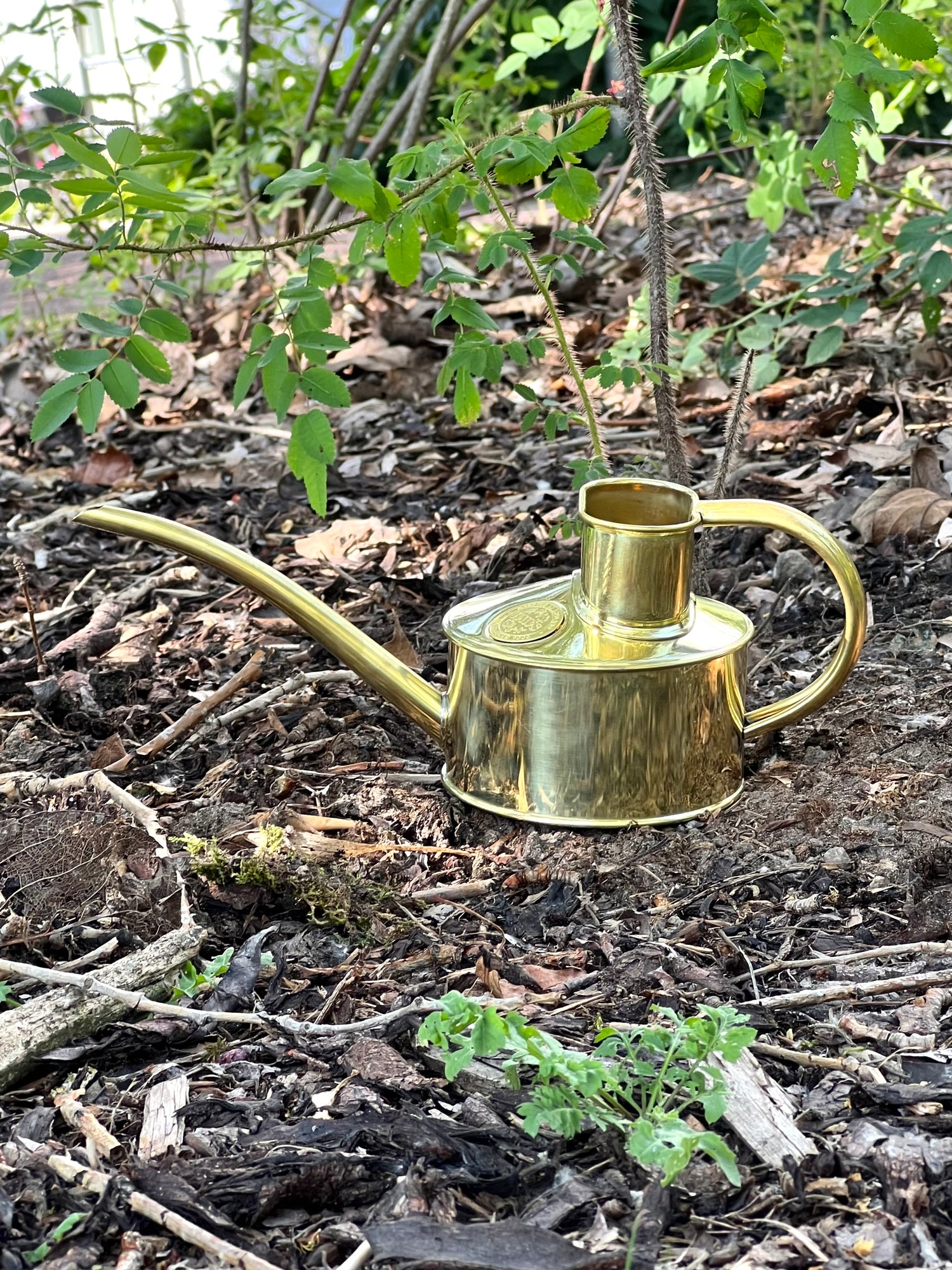 Fazeley Flow watering can, Brass (0.7L