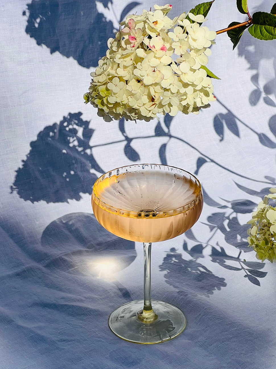 Lyon champagne saucer, rosa