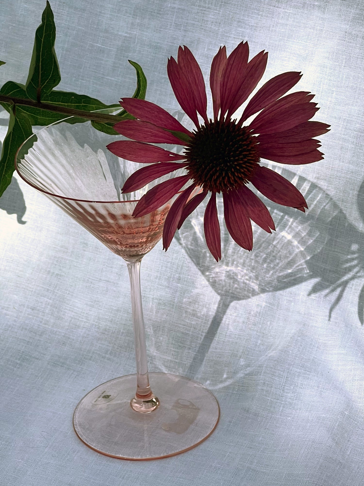 Lyon Martini glass, rosa