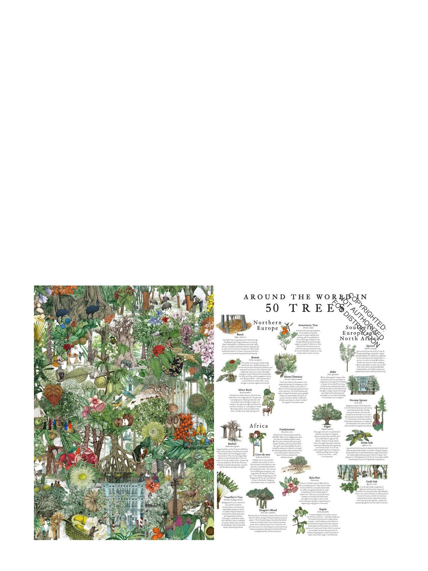 Around the World in 50 Trees puzzle (1000 pcs)