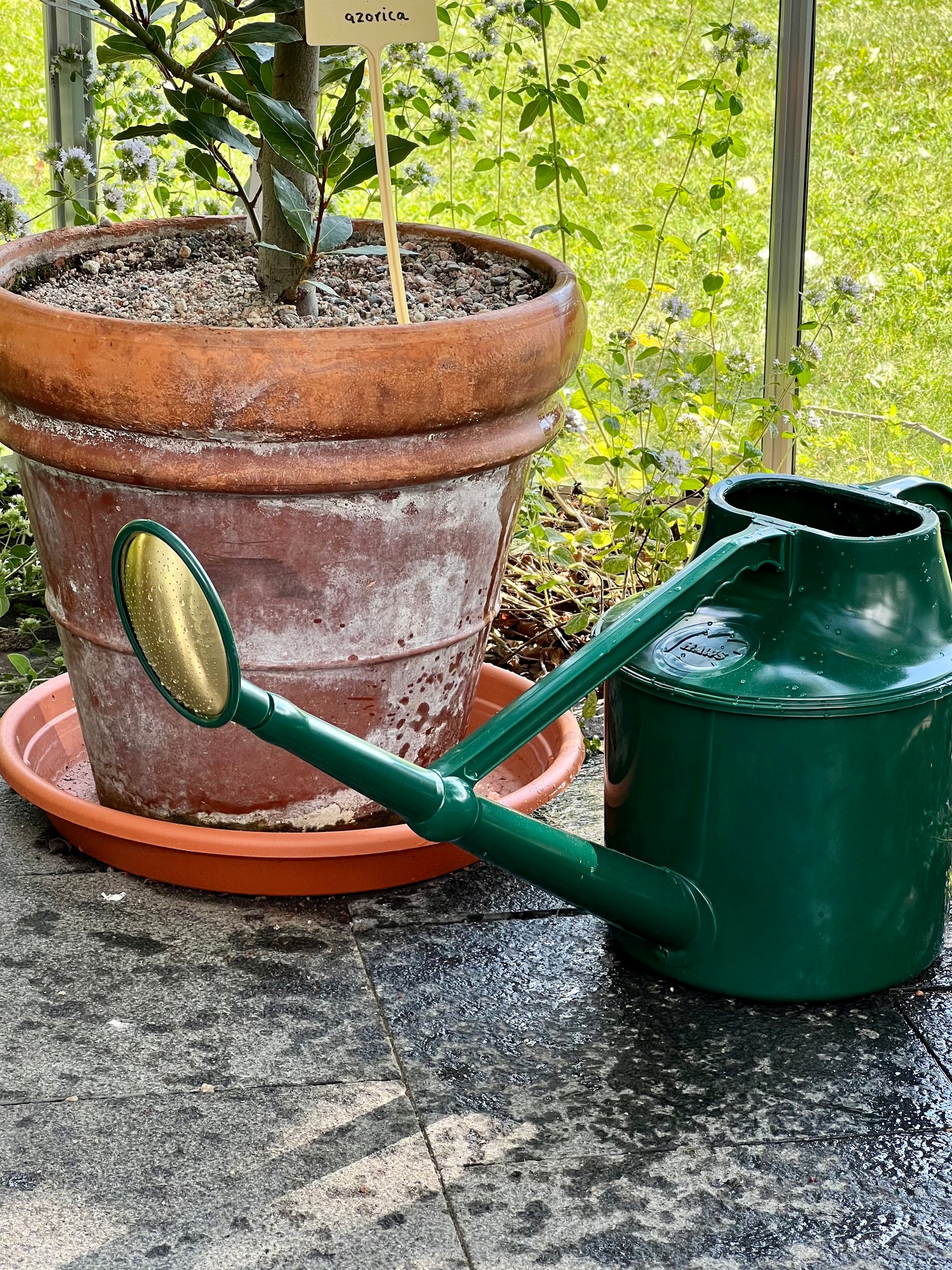 Cradley Cascader Watering Can, Green (6.8L)