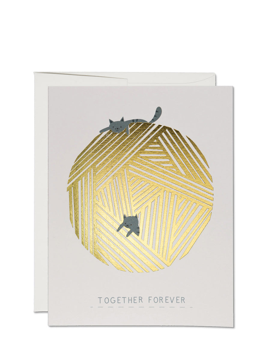 String Cats Together Forever Love Card
