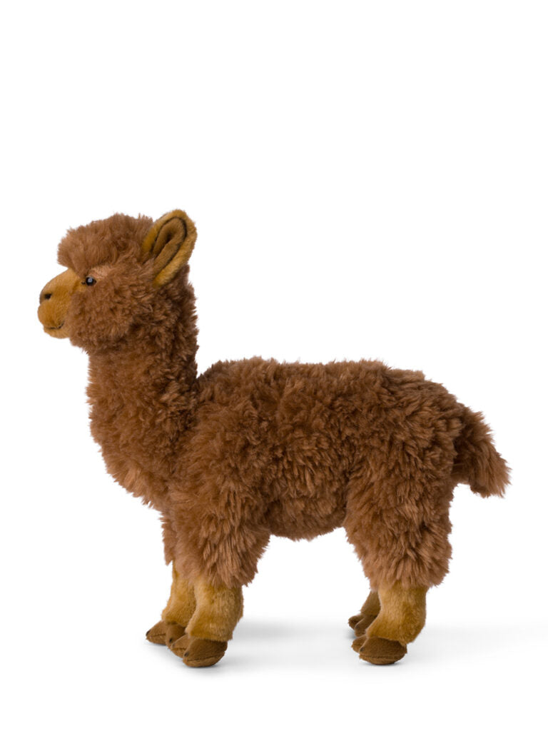 WWF Alpaca