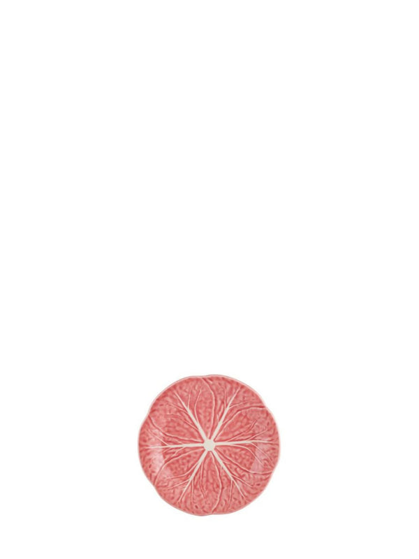 Close-up of a pink cabbage on a white background