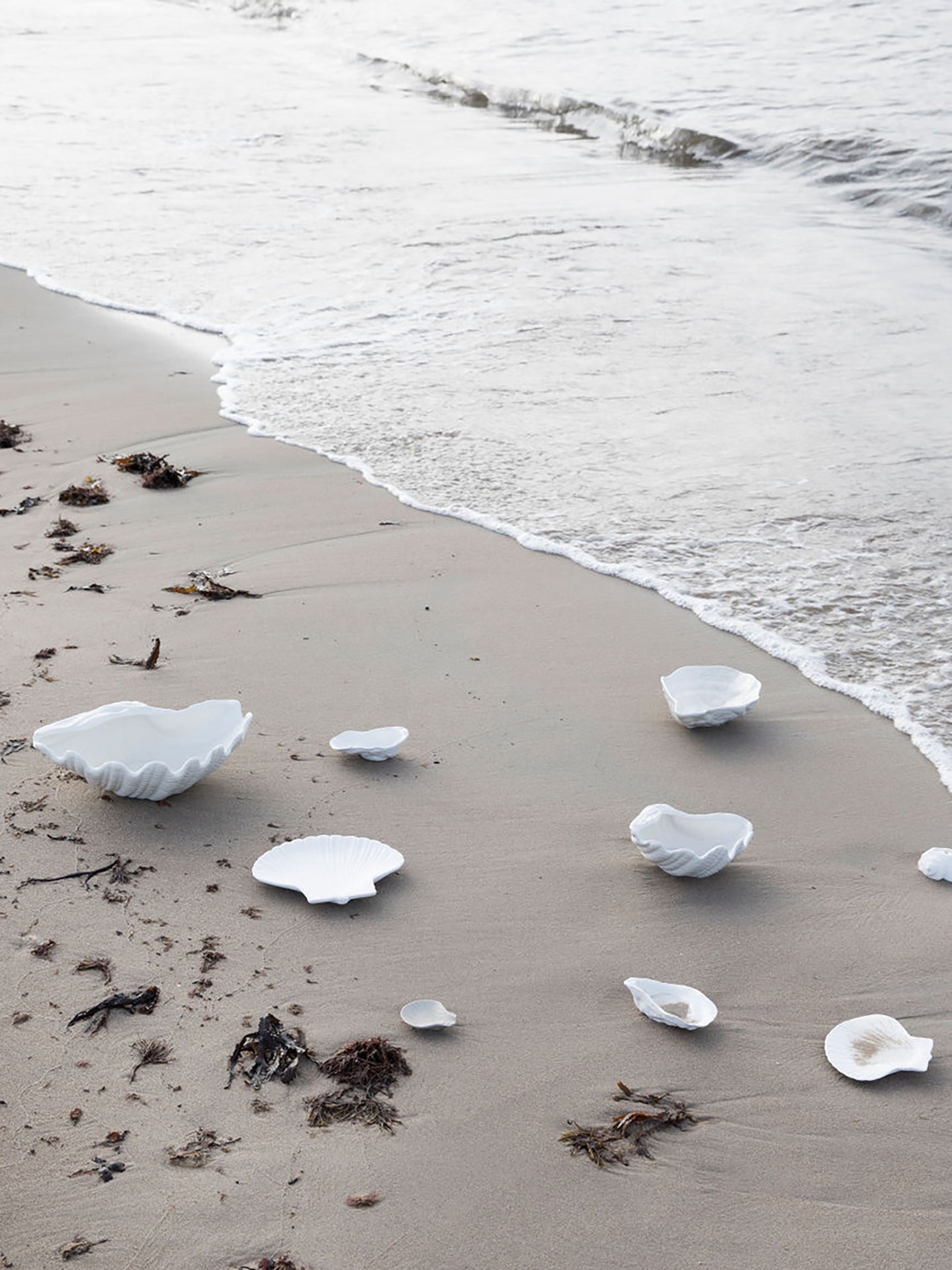 Alima oyster shell bowl