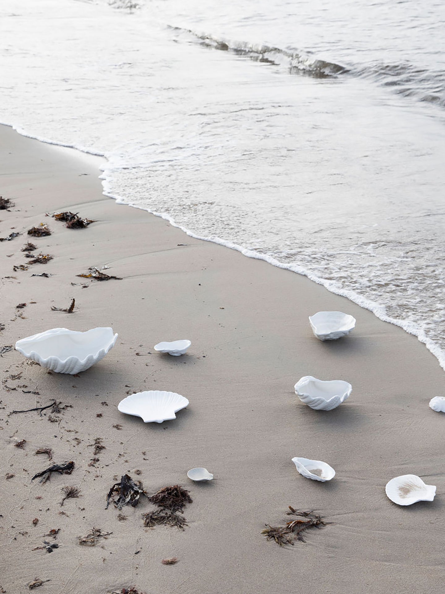 Alima Oyster Shell Bowl