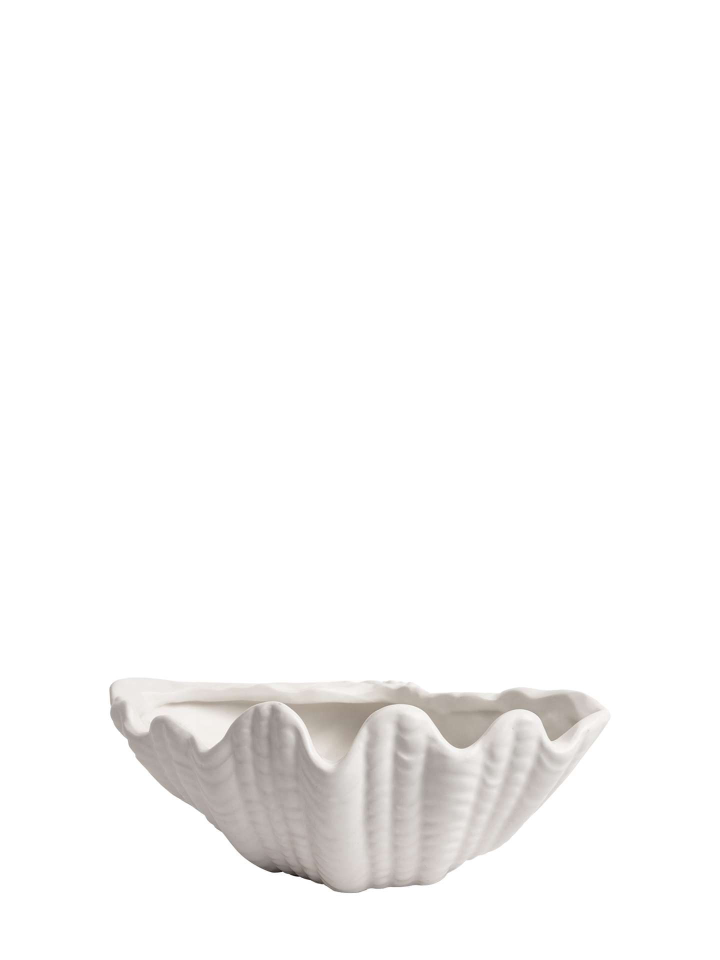 Bowl Shell, S