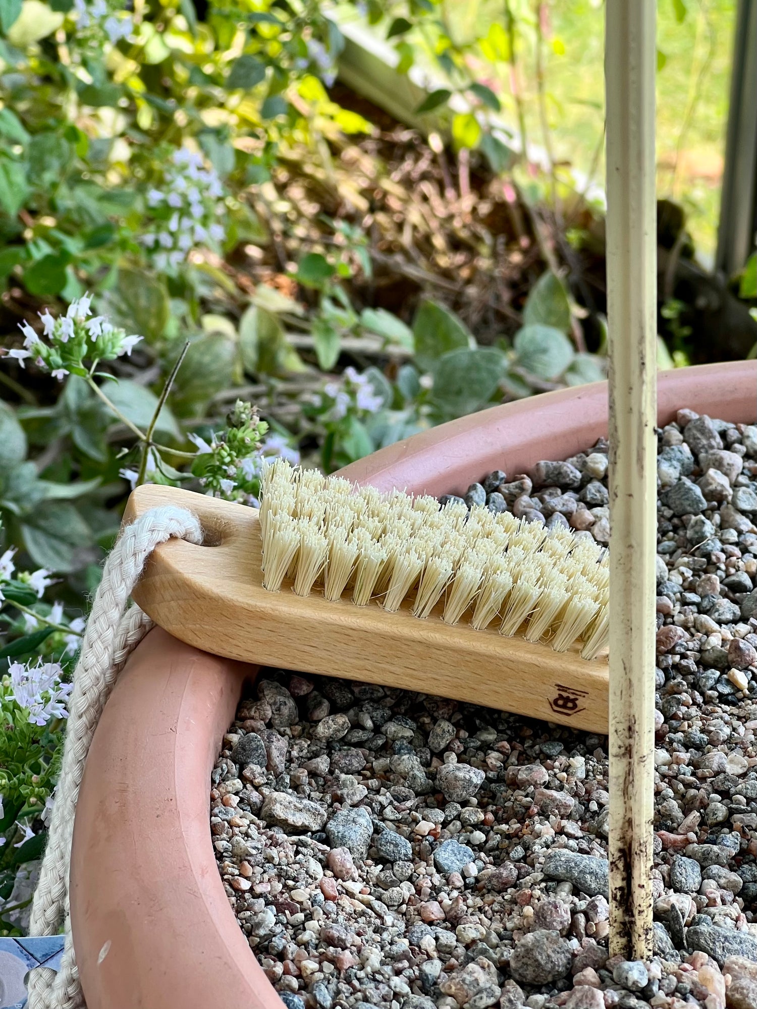 Nail brush, S-form with rope