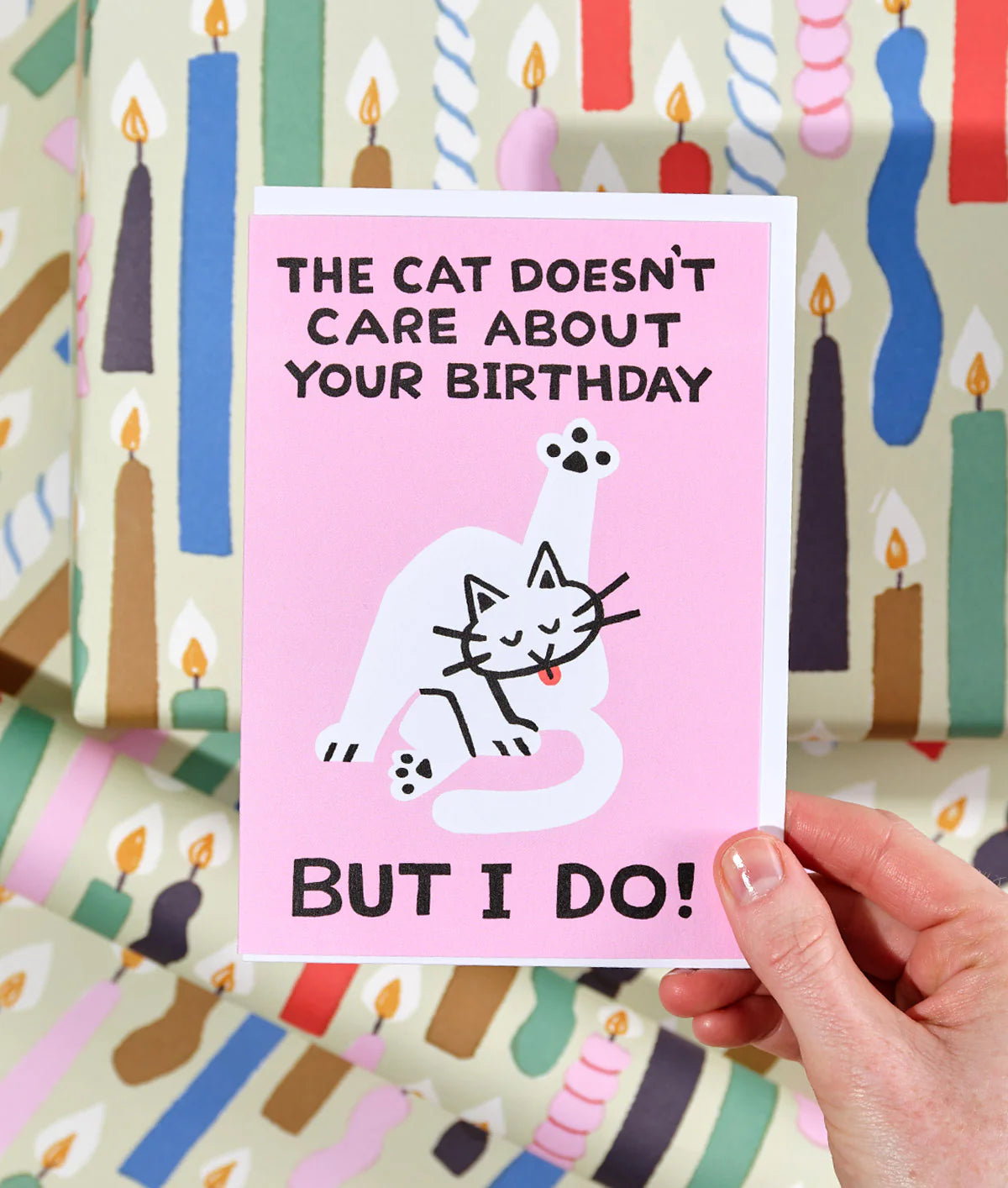 The Cat Doesn't Care birthday card