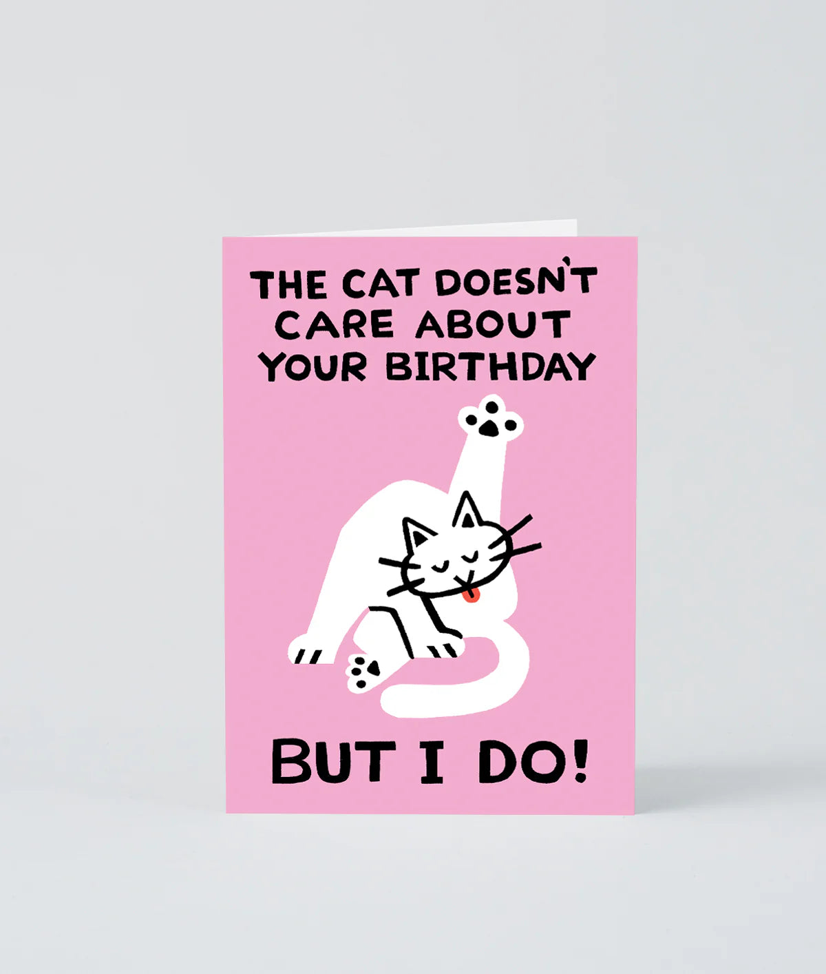 The Cat Doesn't Care birthday card