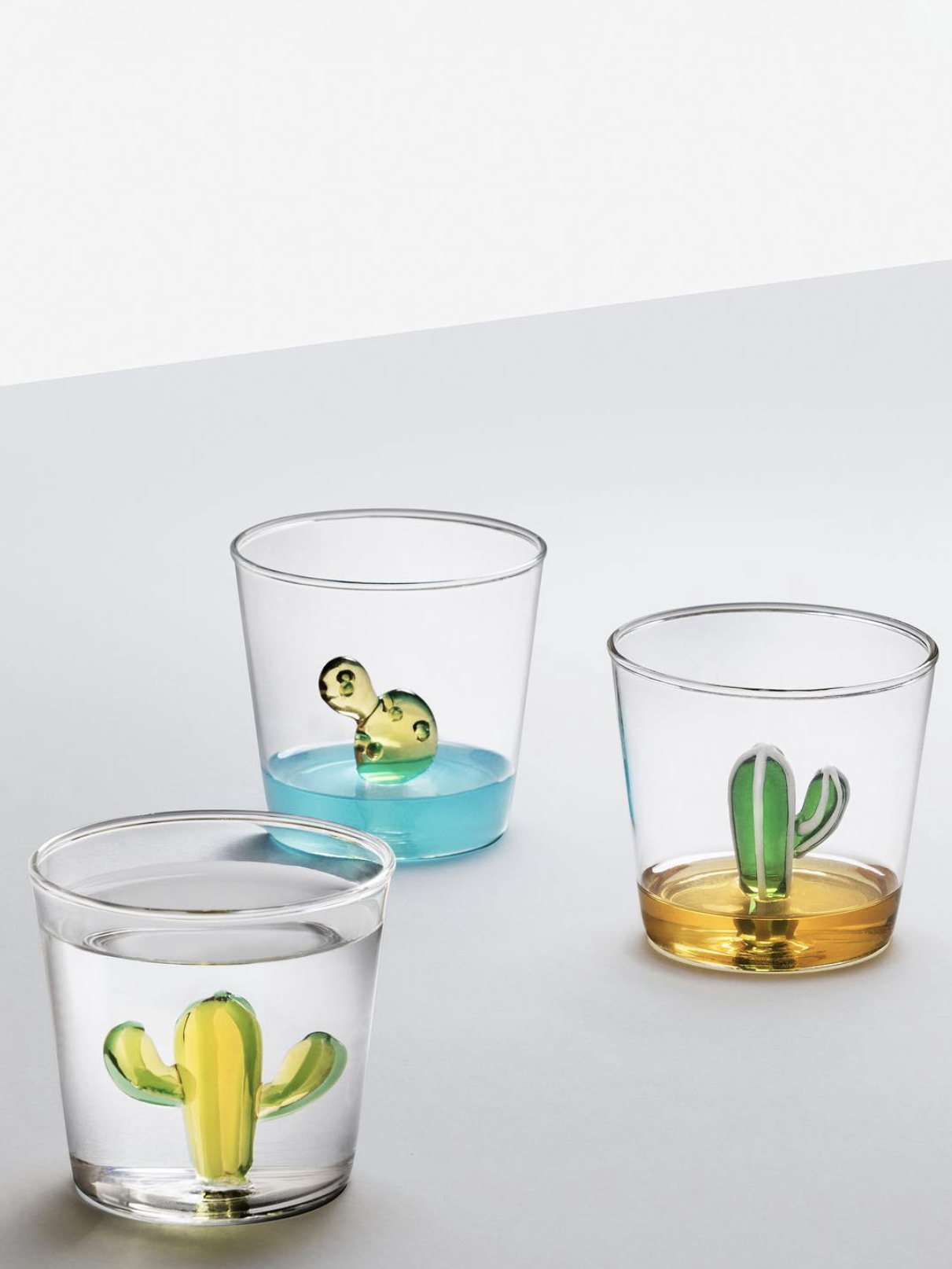 Cactus Tumbler Green-Amber, Desert Plants Collection