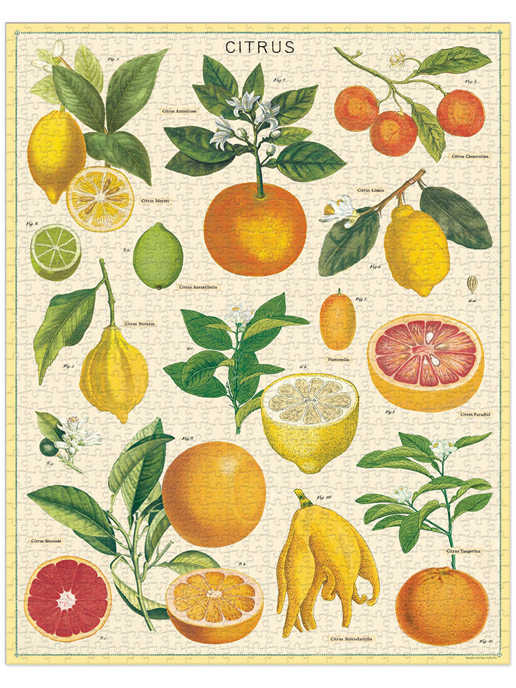 Vintage puzzle, Citrus (1000 pcs)