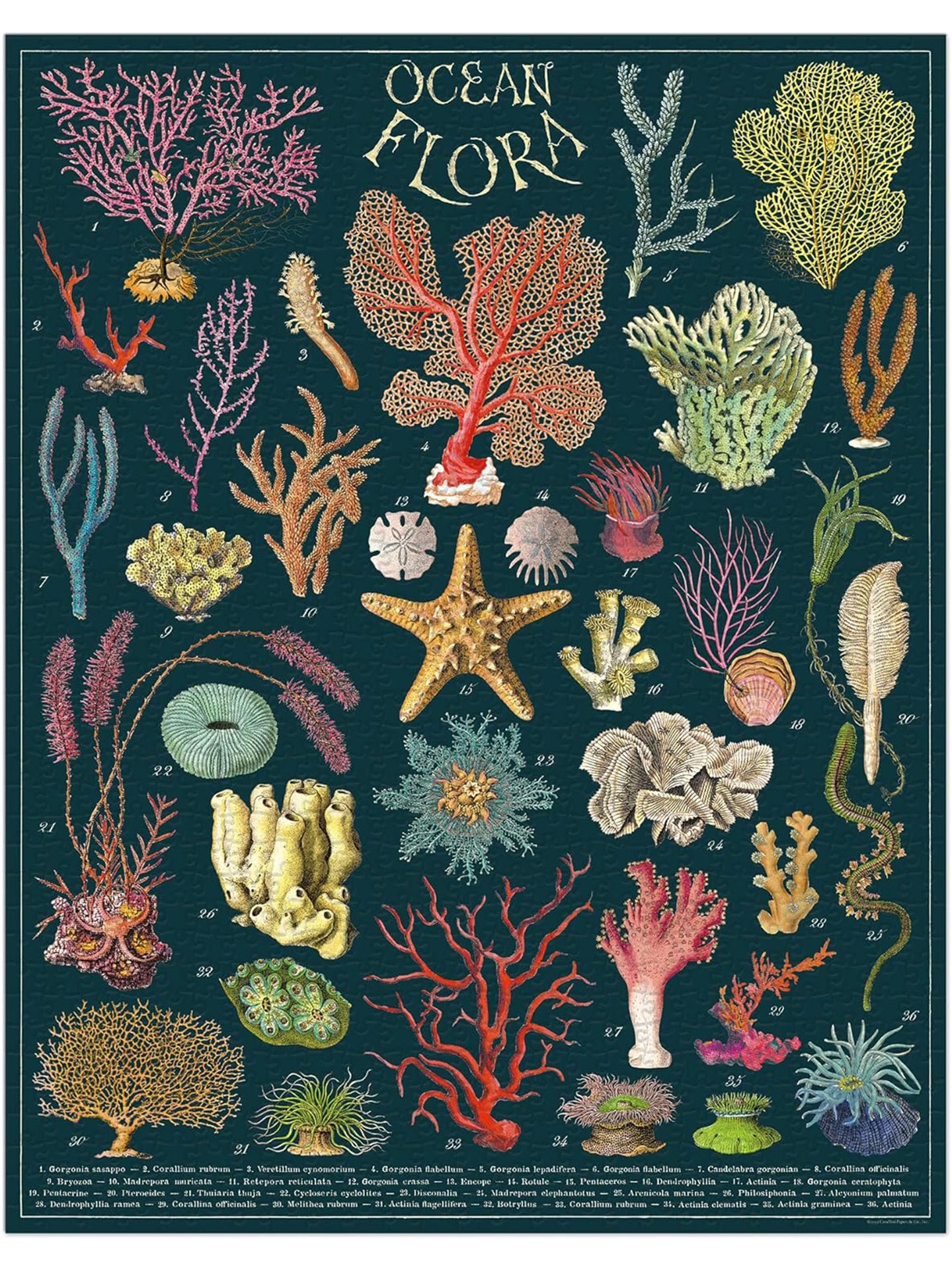 Vintage Puzzle, Ocean Flora (1000 pcs)