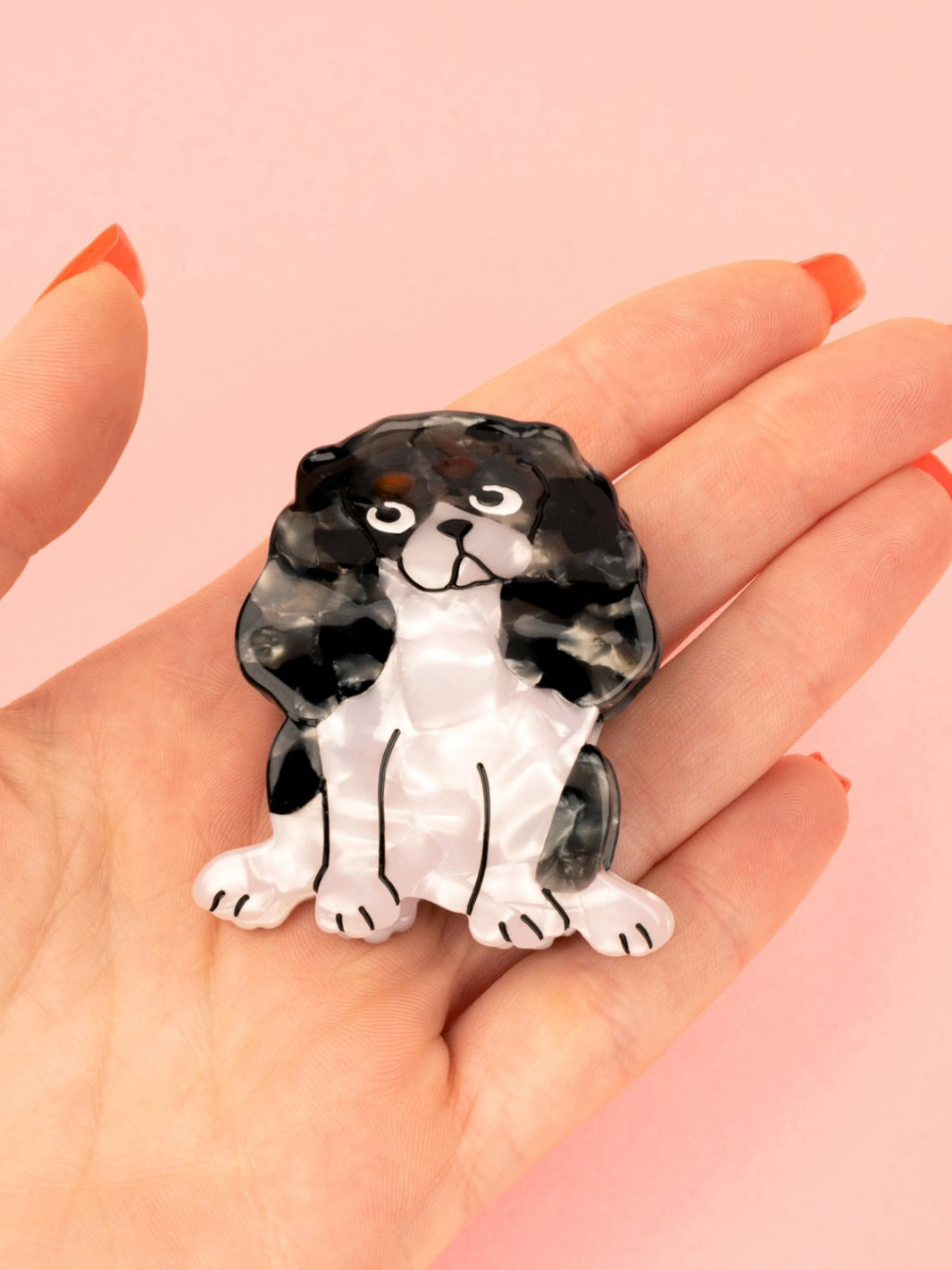 Cavalier spaniel hair claw