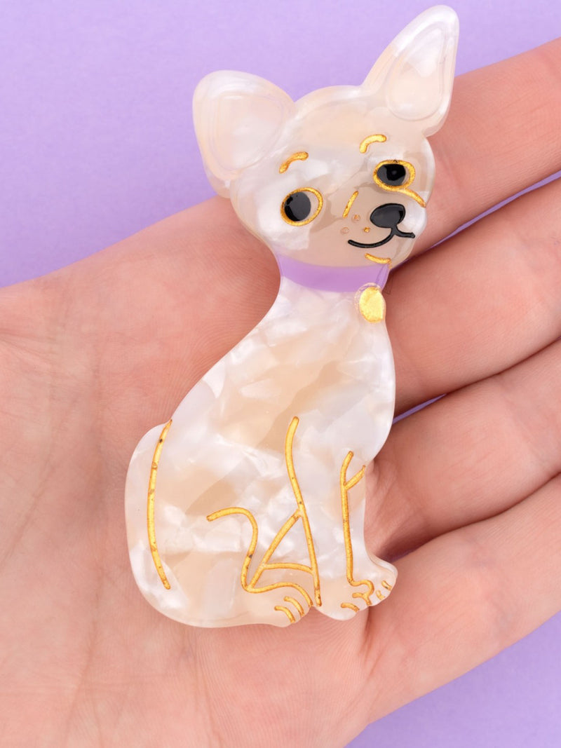 Chihuahua hair claw
