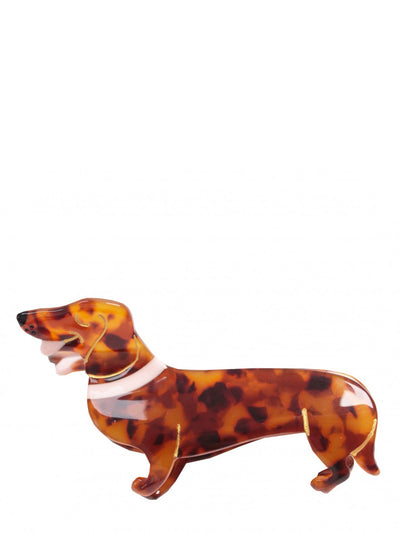 Dachshund hair claw