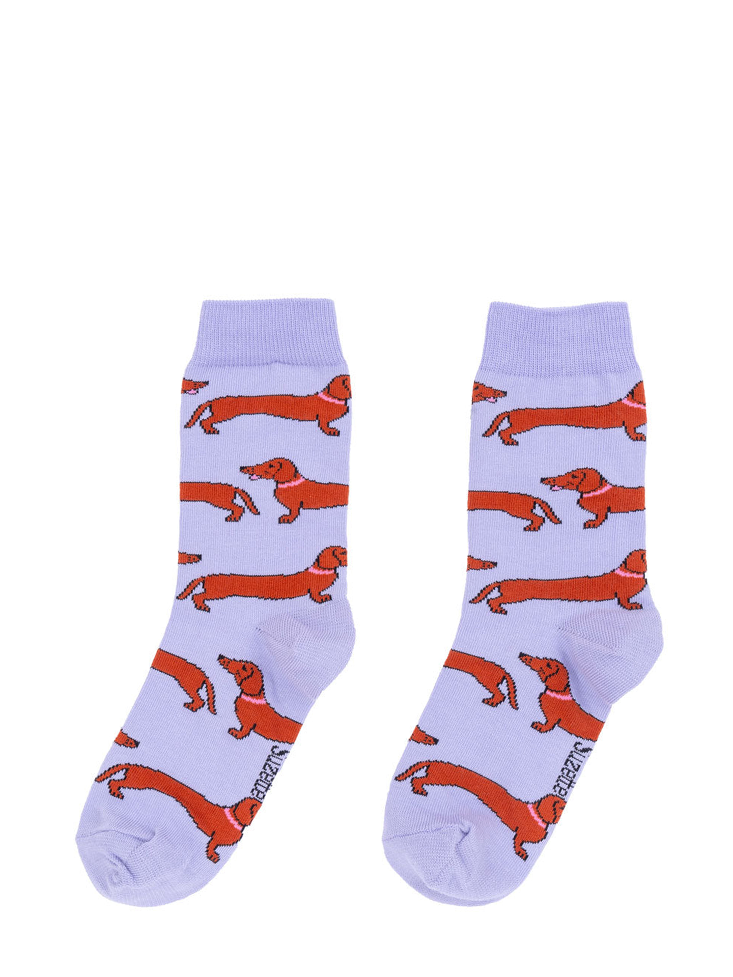 Dachshund Socks