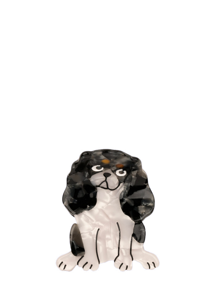 Cavalier spaniel hair claw