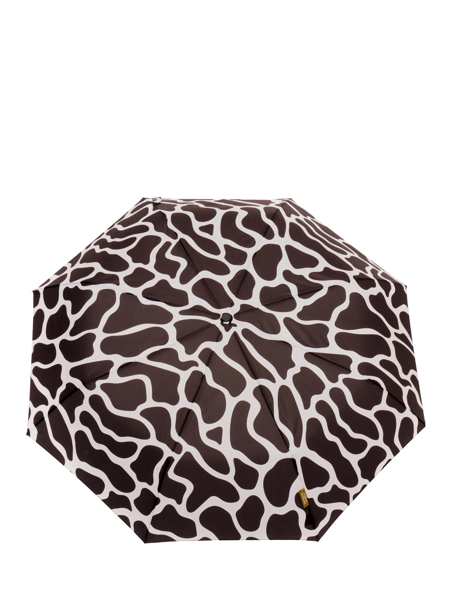 The Daily Umbrella, Ripples print, 3 colours