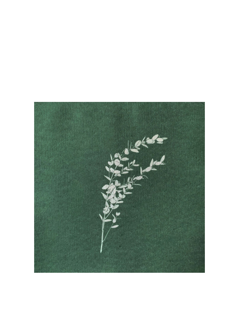 Dinner napkins (40x40cm), Eucalyptus Cinerea