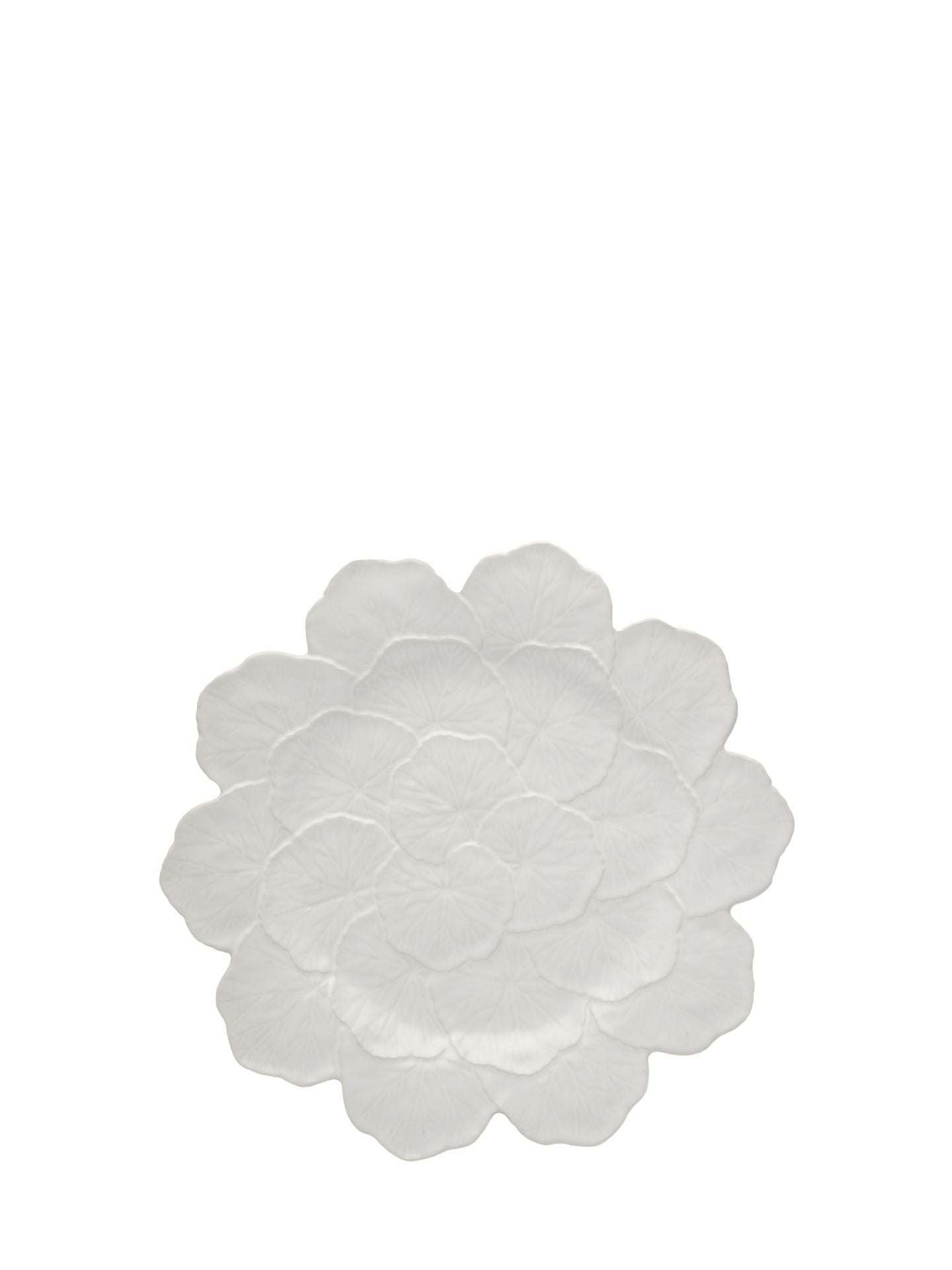 Geranium Large plate, White