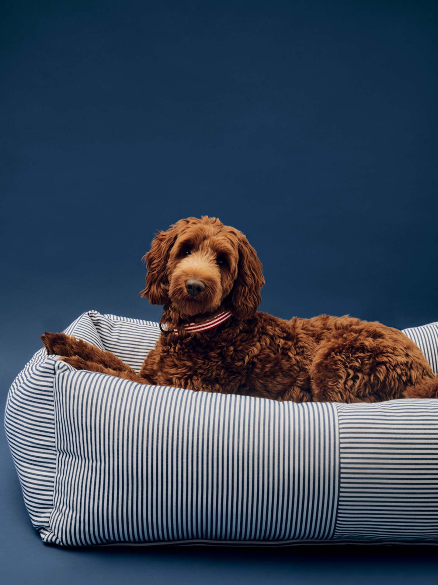 HAY Dogs Bed Zip large, blue and white stripe