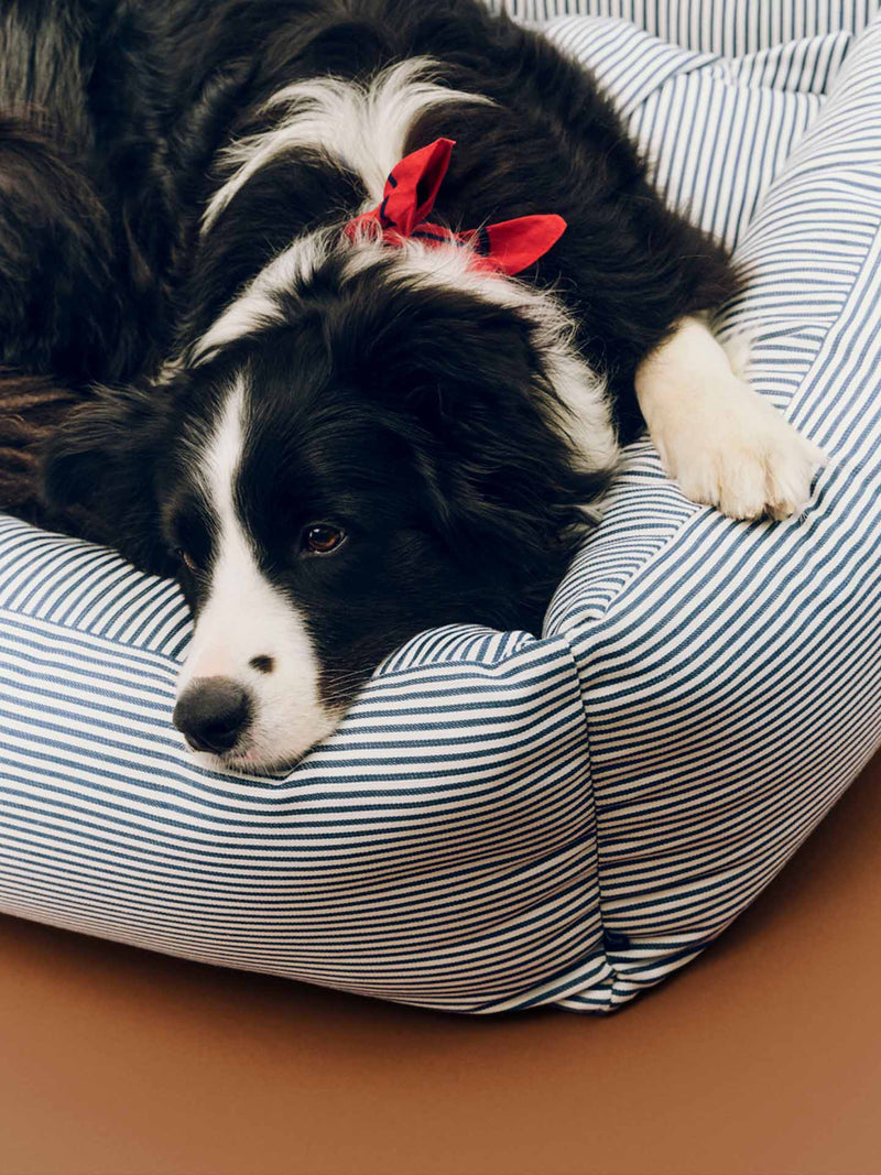 HAY Dogs Bed Zip large, blue and white stripe