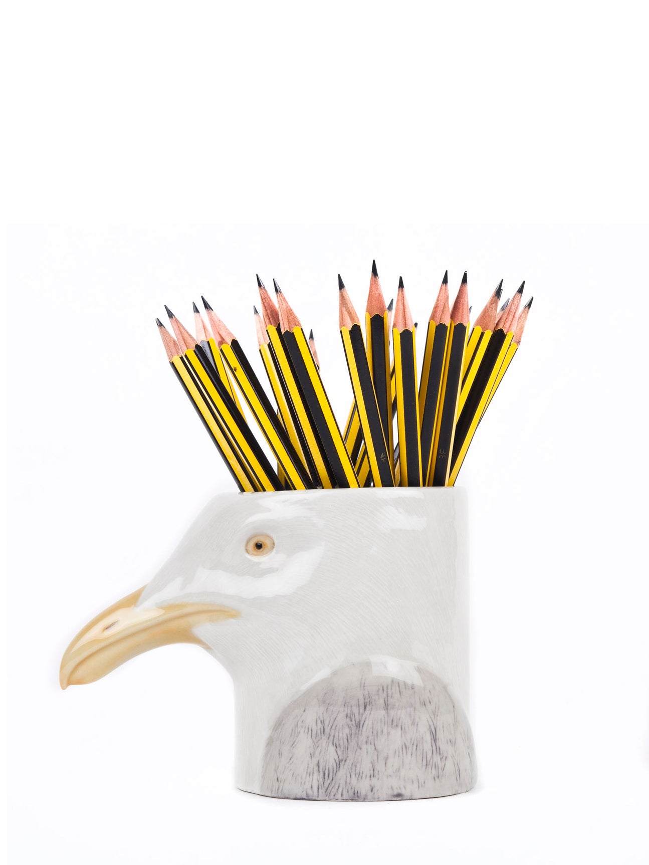 Herring Gull Pencil Pot