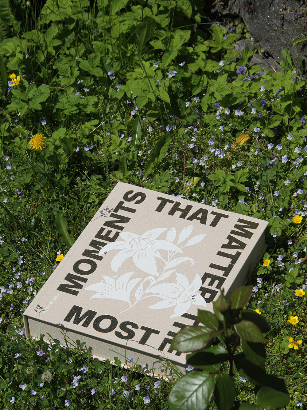 Photo album Moments that matter the most, beige or blue