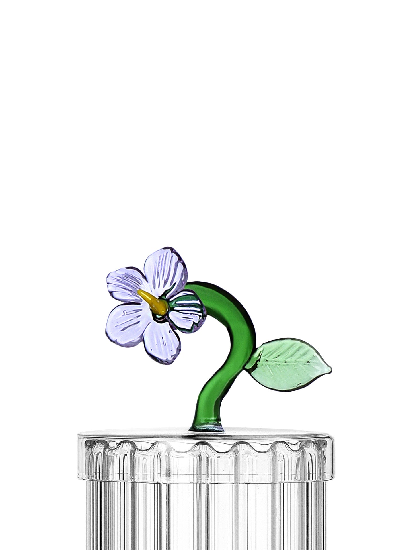 Lilac Flower Optical box, Botanica Collection