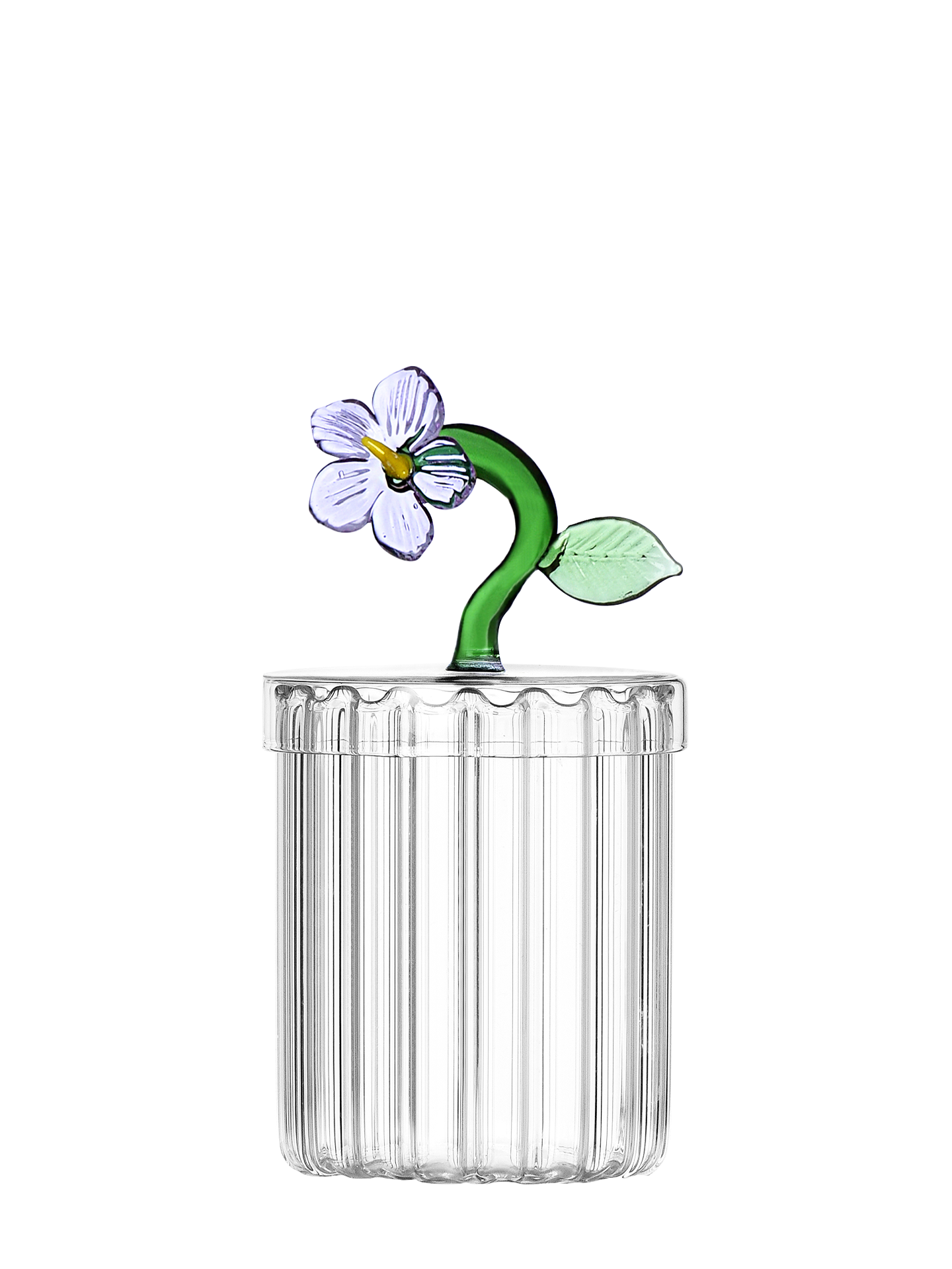 Lilac Flower Optical box, Botanica Collection