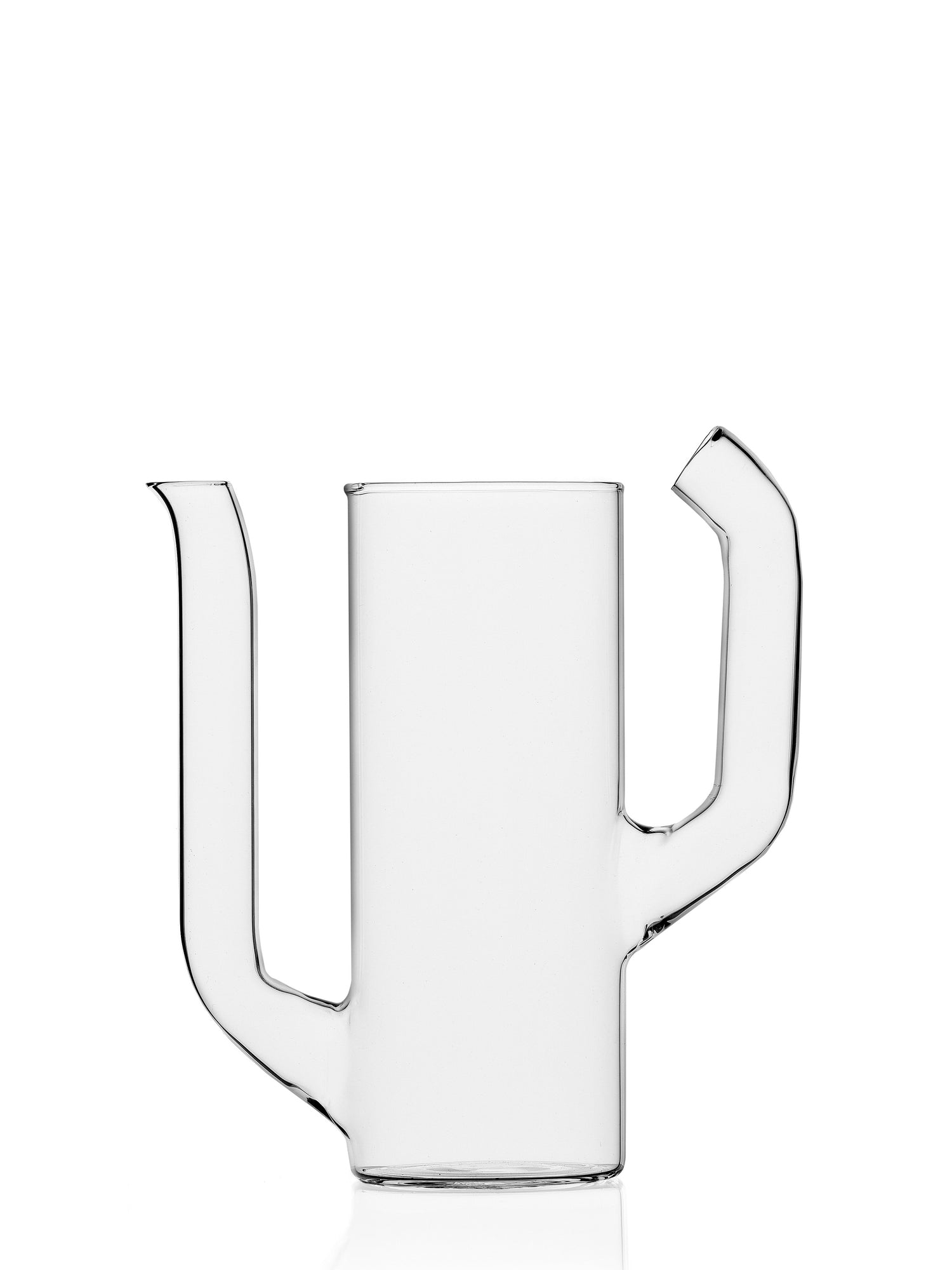 Cactus jug 2