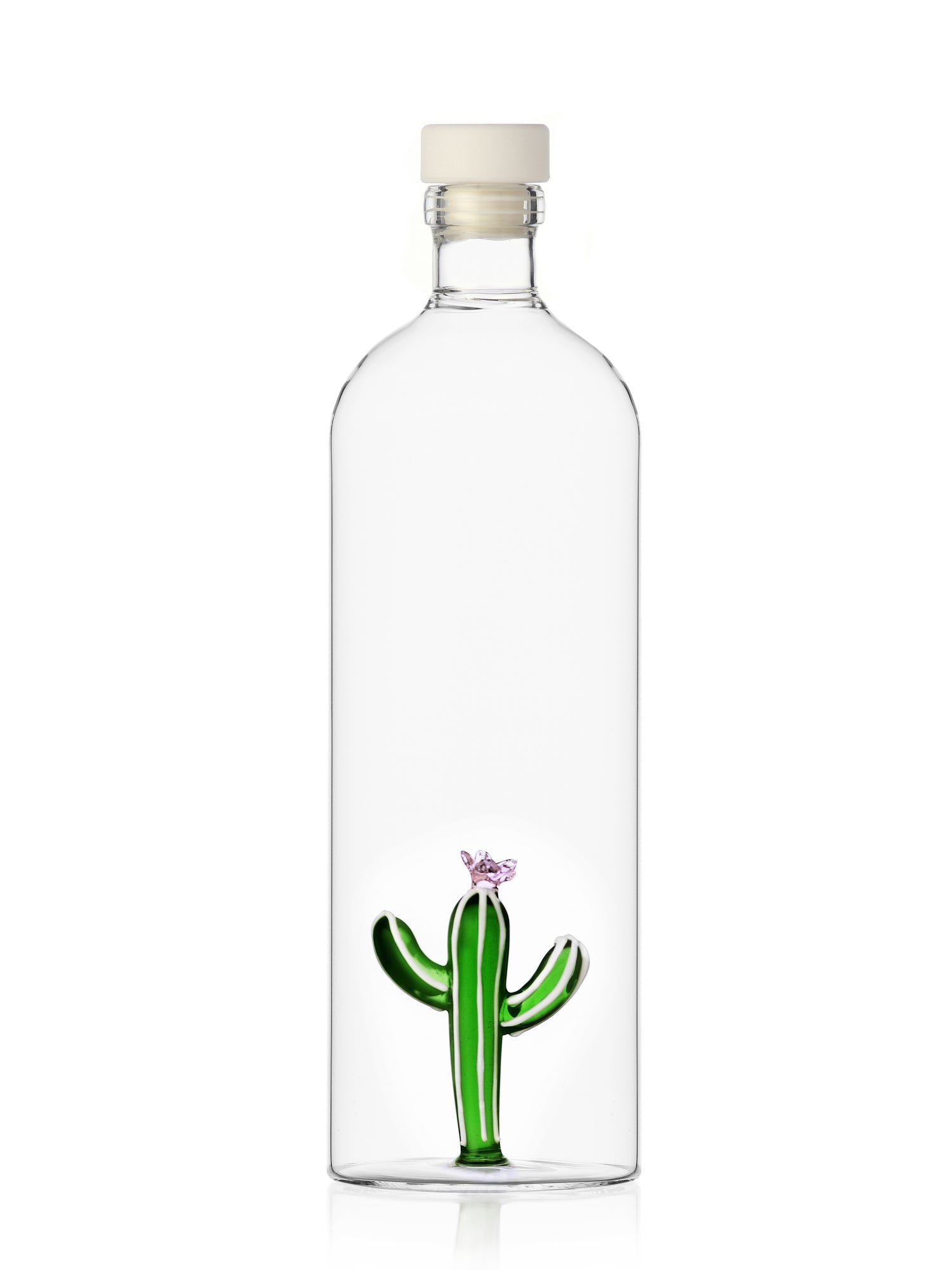 Cactus Bottle, Desert Plants Collection
