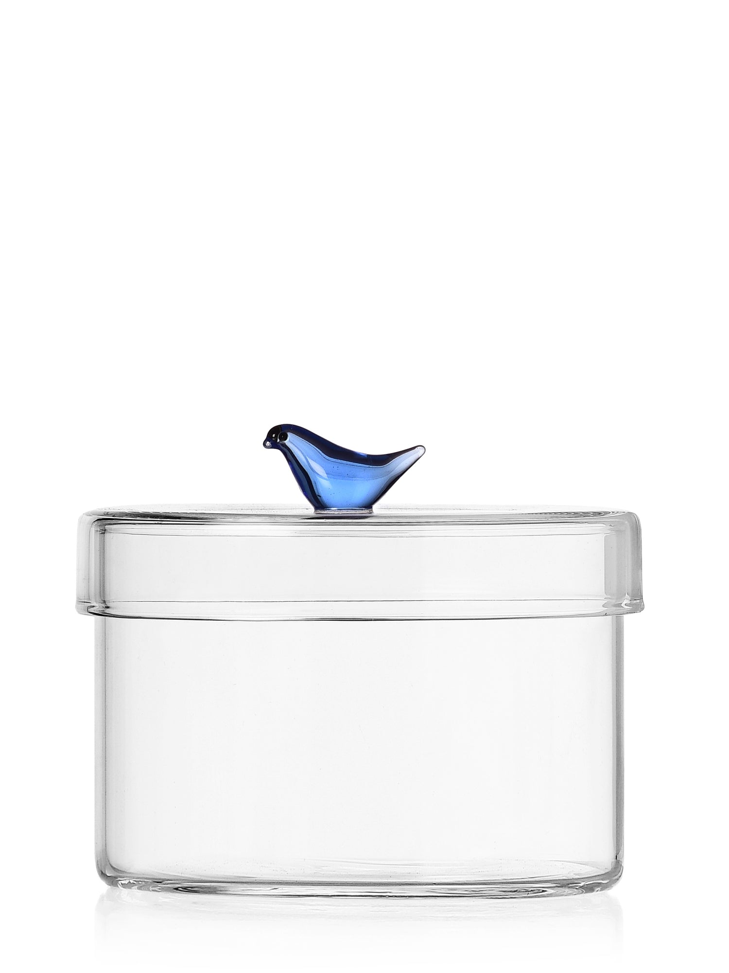 Blue Bird box, Birds Collection