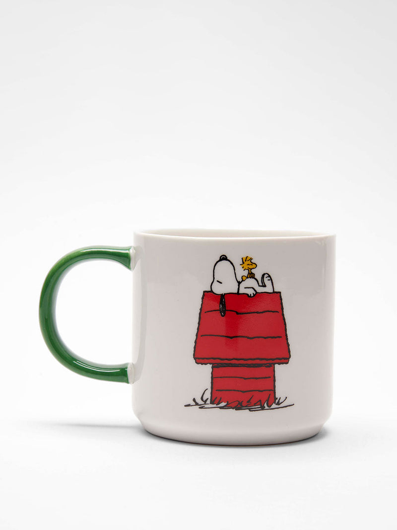 Gang & house Peanuts mug