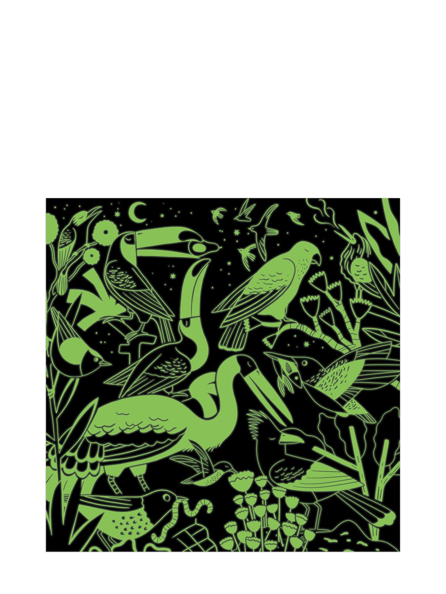 Birds illuminated glow-in-the-dark puzzle (500 pcs)
