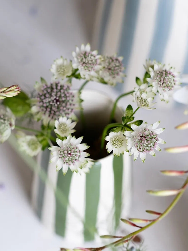 Candy stripe creamer, moss green